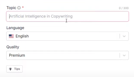 Writesonicer: topic